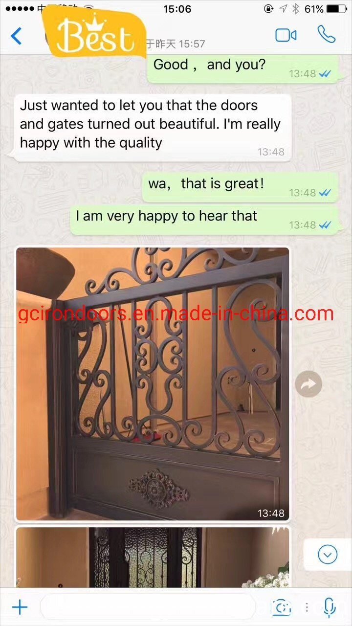 Popular Design Iron Fencing